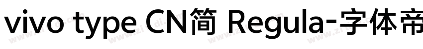 vivo type CN简 Regula字体转换